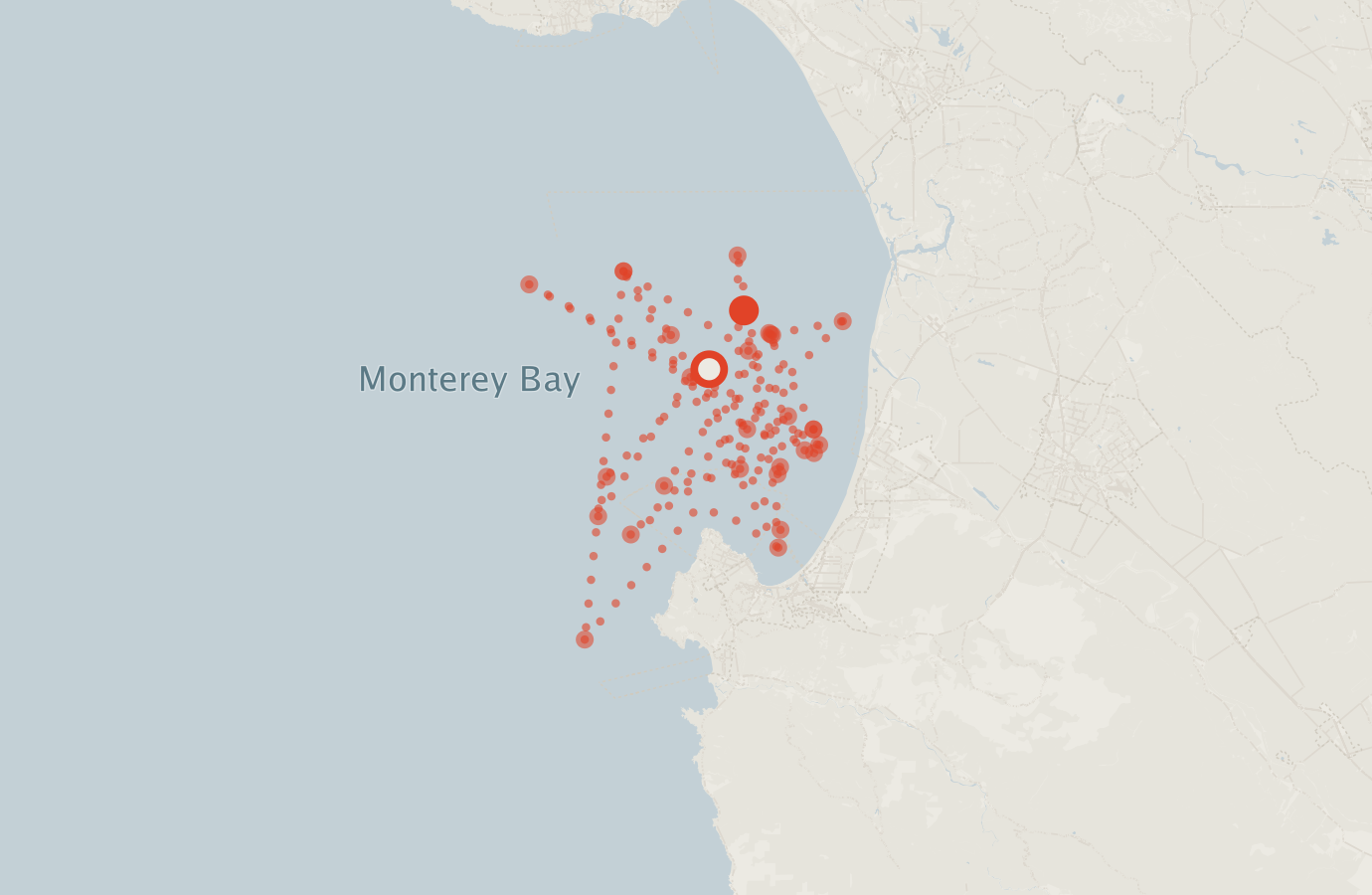 Activity map — real sighting points on an OpenStreetMap basemap
