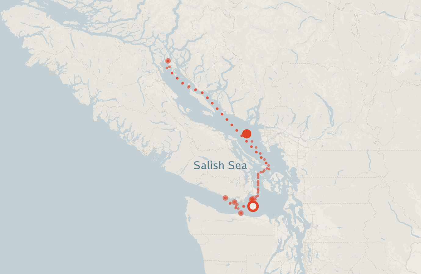 Activity map — real sighting points on an OpenStreetMap basemap