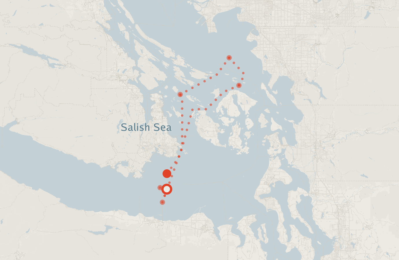 Activity map — real sighting points on an OpenStreetMap basemap