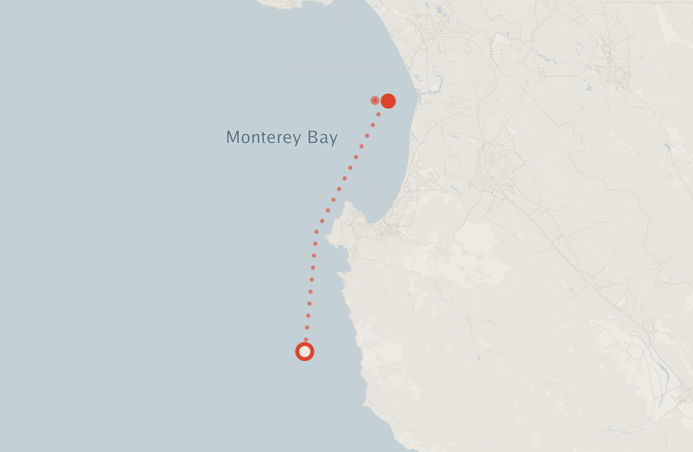 Activity map — real sighting points on an OpenStreetMap basemap