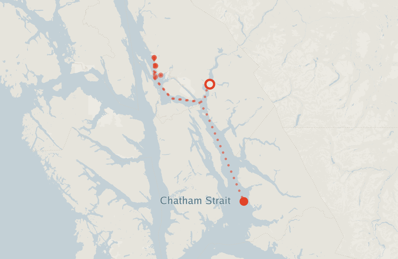 Activity map — real sighting points on an OpenStreetMap basemap