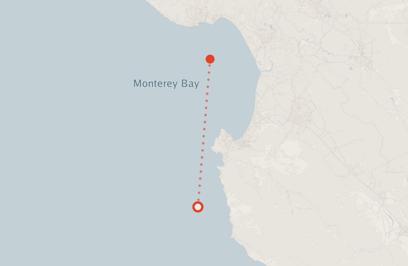 Activity map — real sighting points on an OpenStreetMap basemap