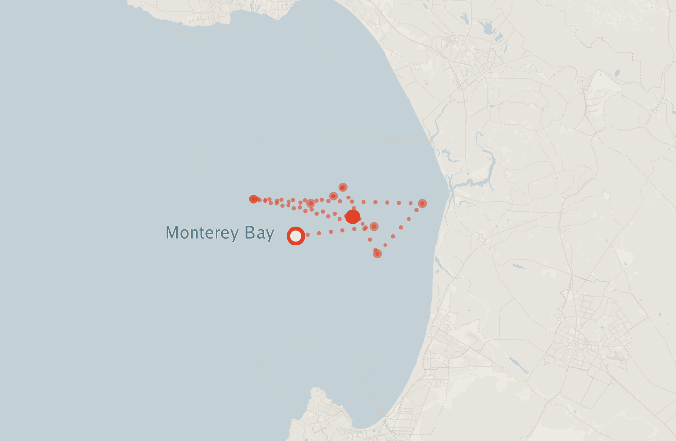 Activity map — real sighting points on an OpenStreetMap basemap
