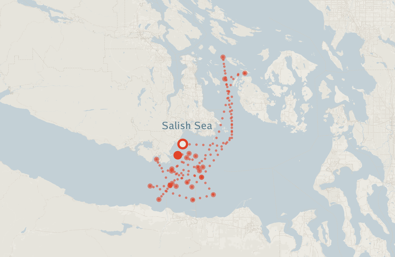 Activity map — real sighting points on an OpenStreetMap basemap
