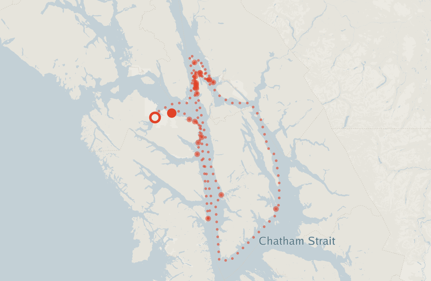 Activity map — real sighting points on an OpenStreetMap basemap
