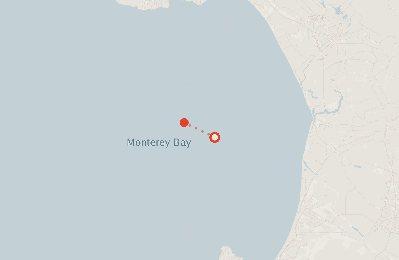 Activity map — real sighting points on an OpenStreetMap basemap