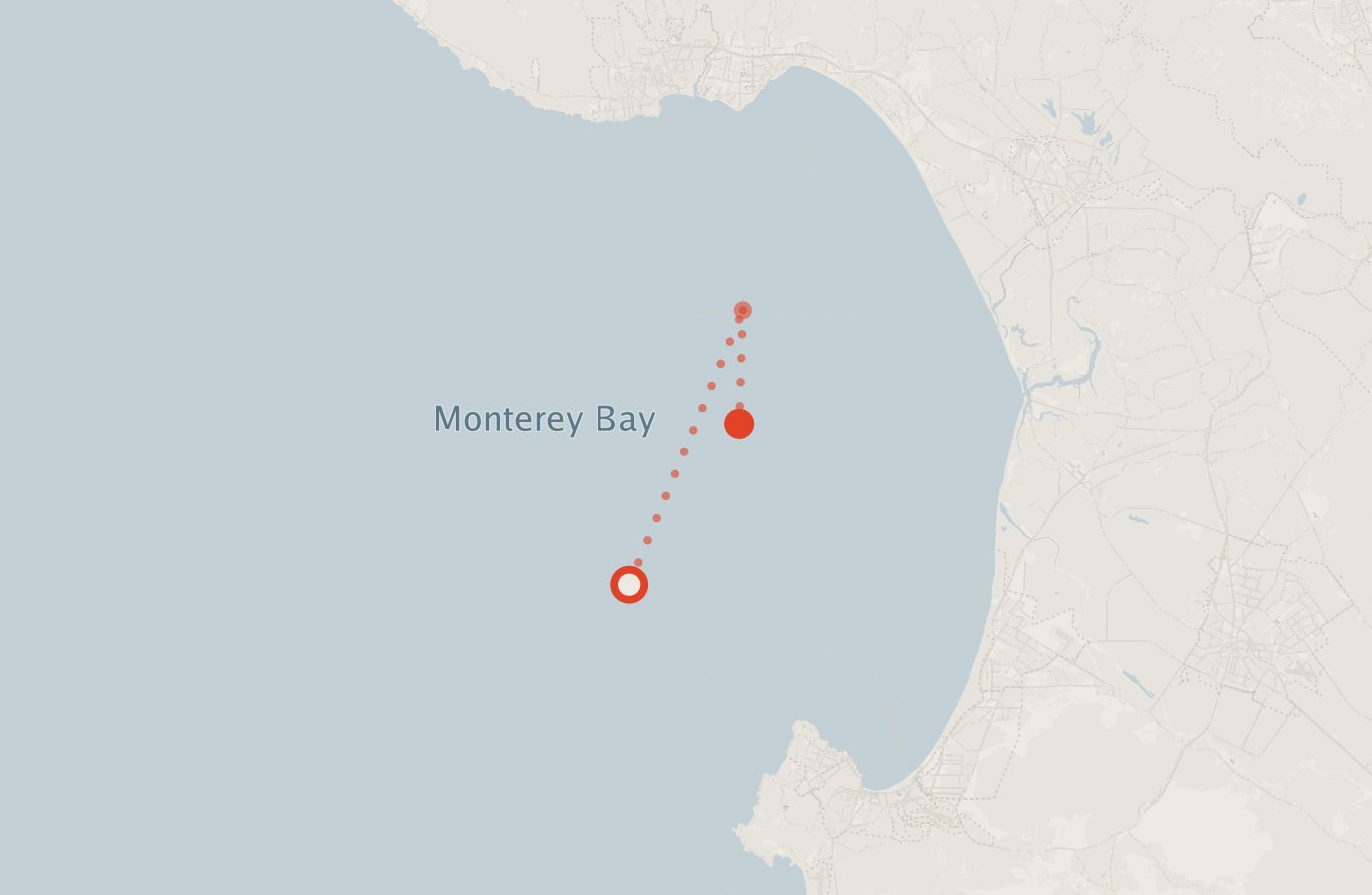 Activity map — real sighting points on an OpenStreetMap basemap