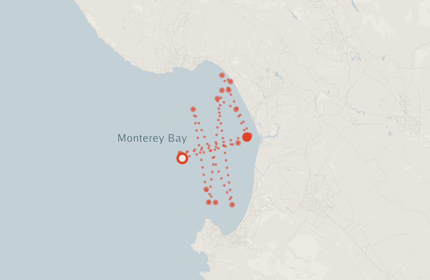 Activity map — real sighting points on an OpenStreetMap basemap