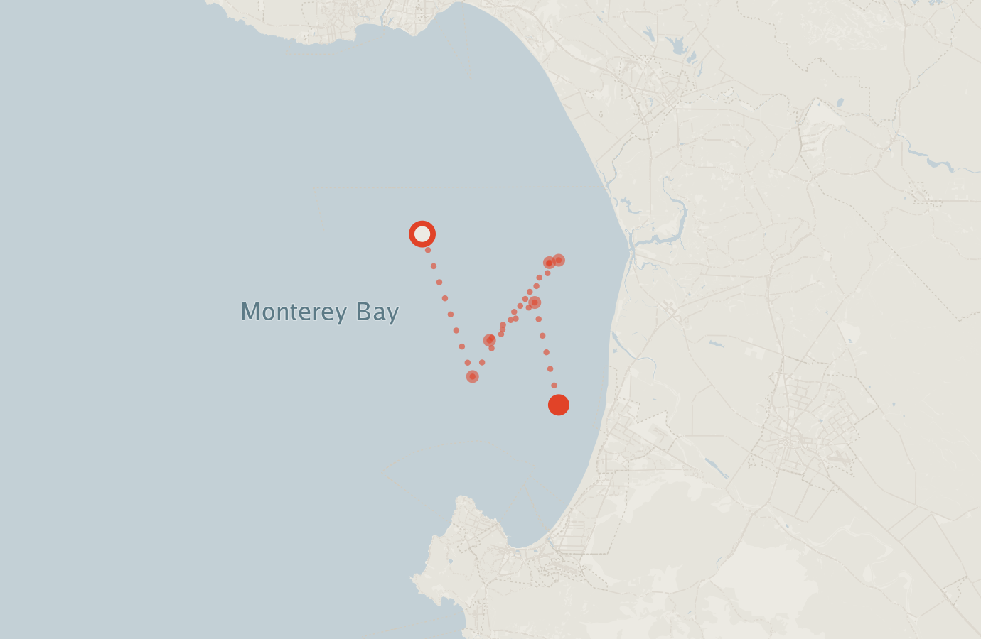 Activity map — real sighting points on an OpenStreetMap basemap