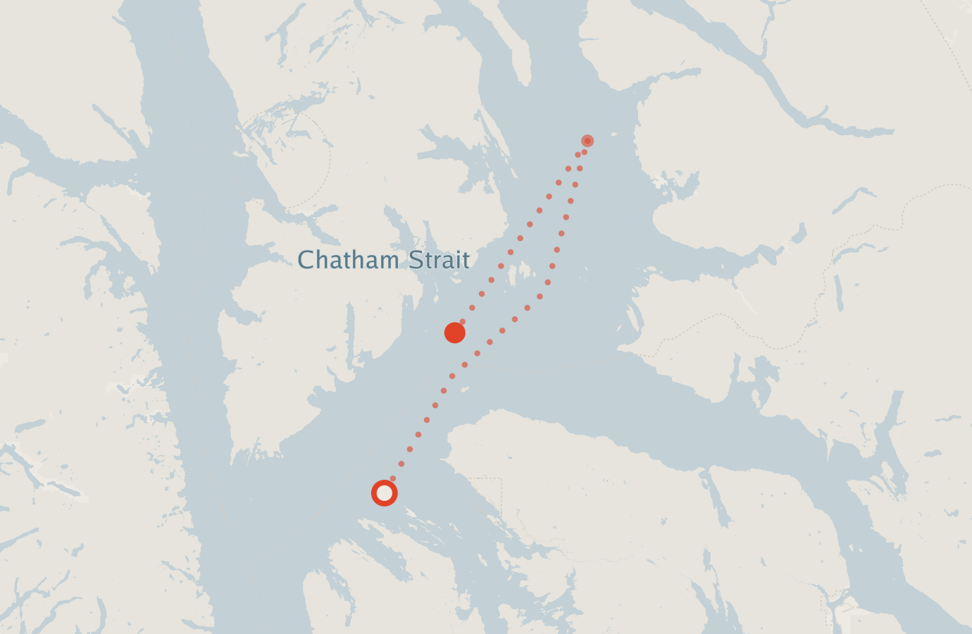 Activity map — real sighting points on an OpenStreetMap basemap