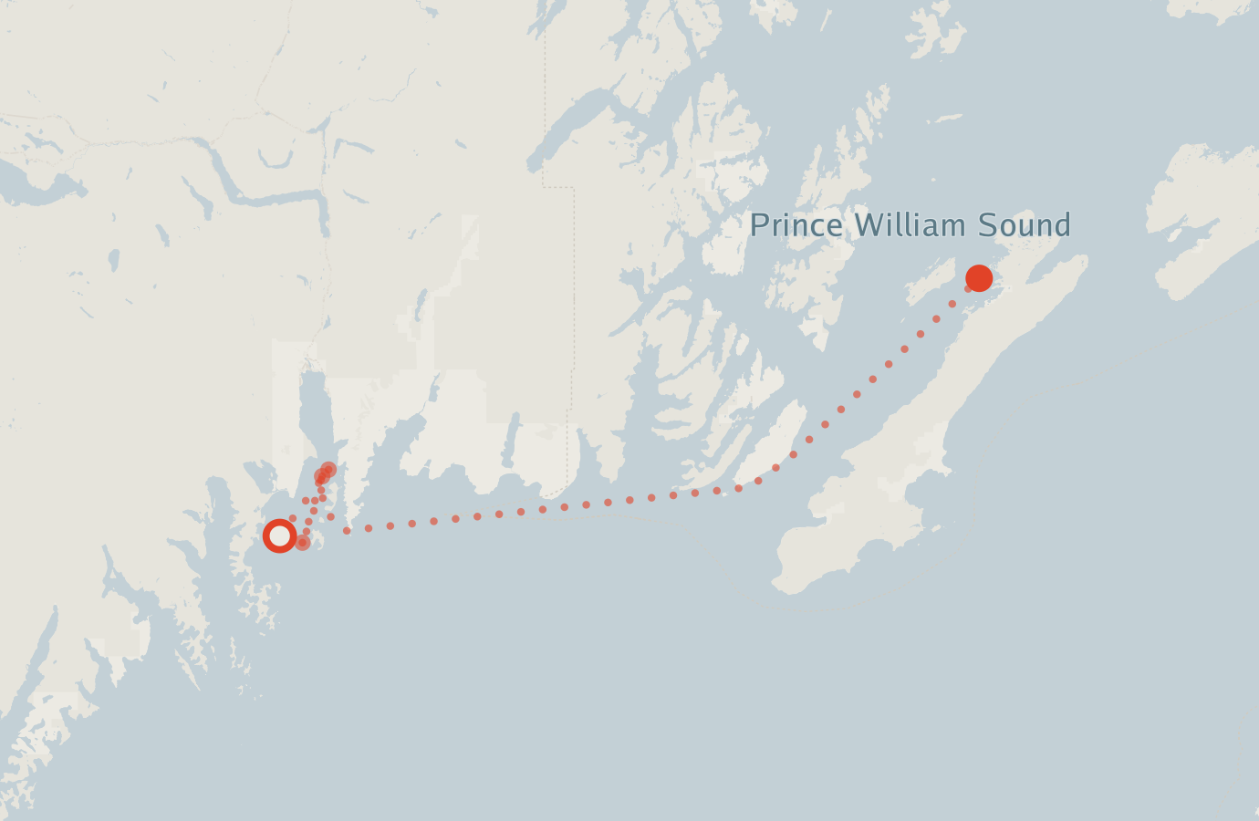 Activity map — real sighting points on an OpenStreetMap basemap