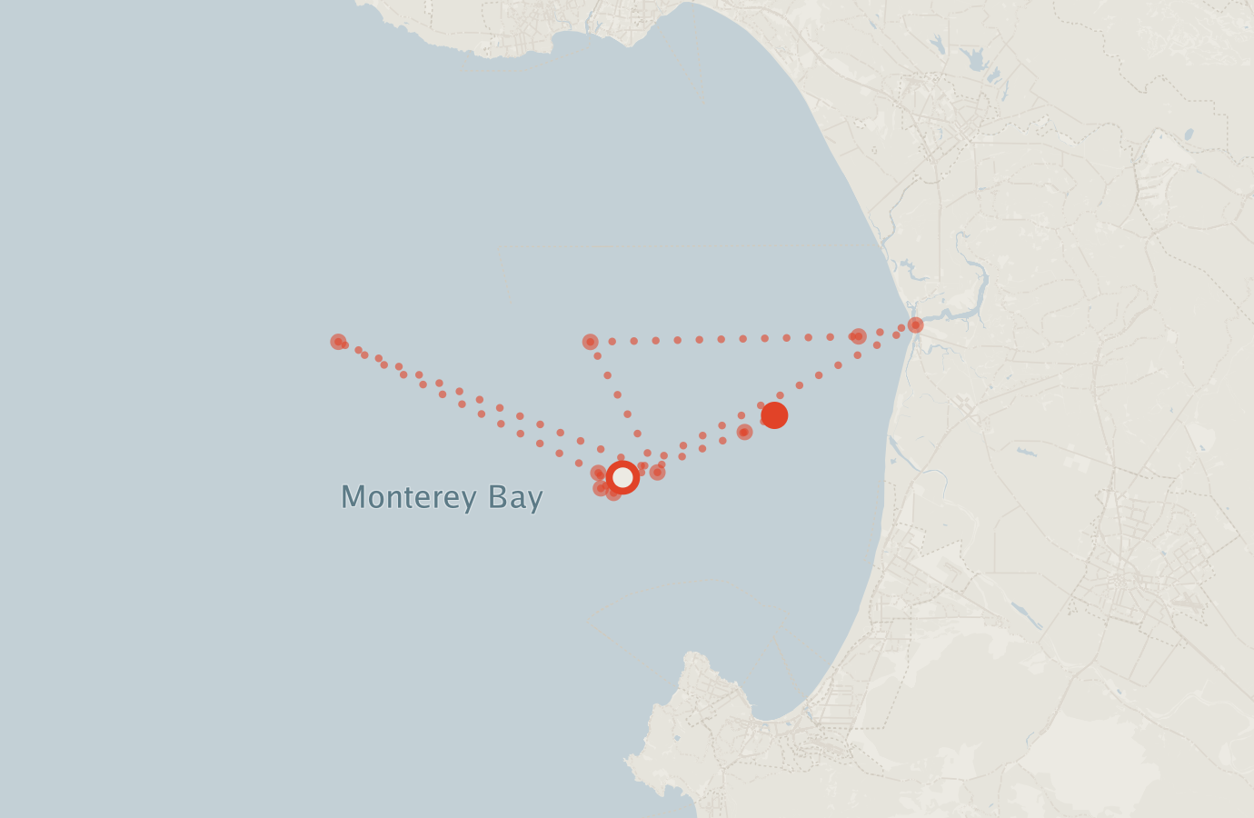Activity map — real sighting points on an OpenStreetMap basemap
