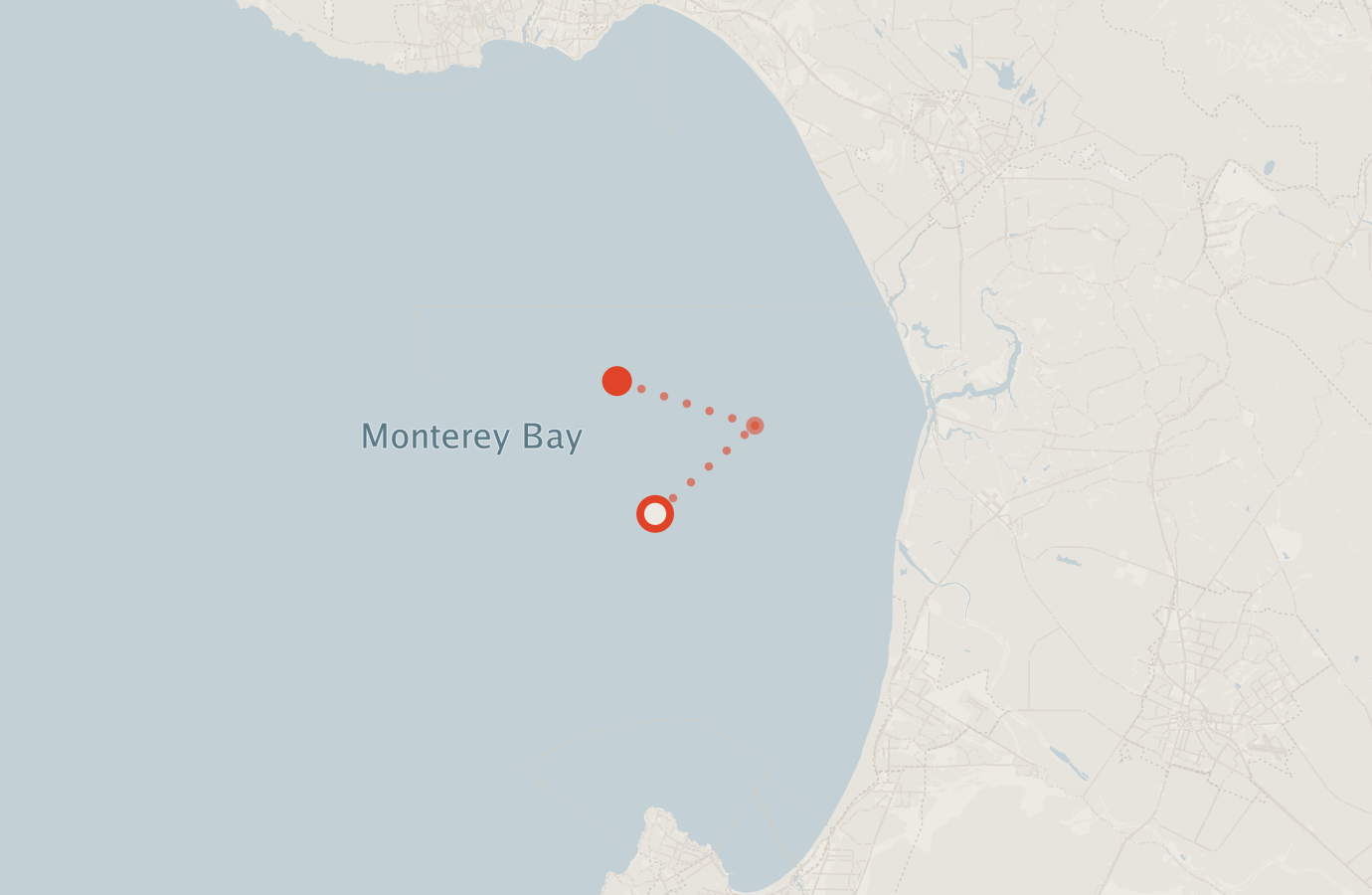 Activity map — real sighting points on an OpenStreetMap basemap