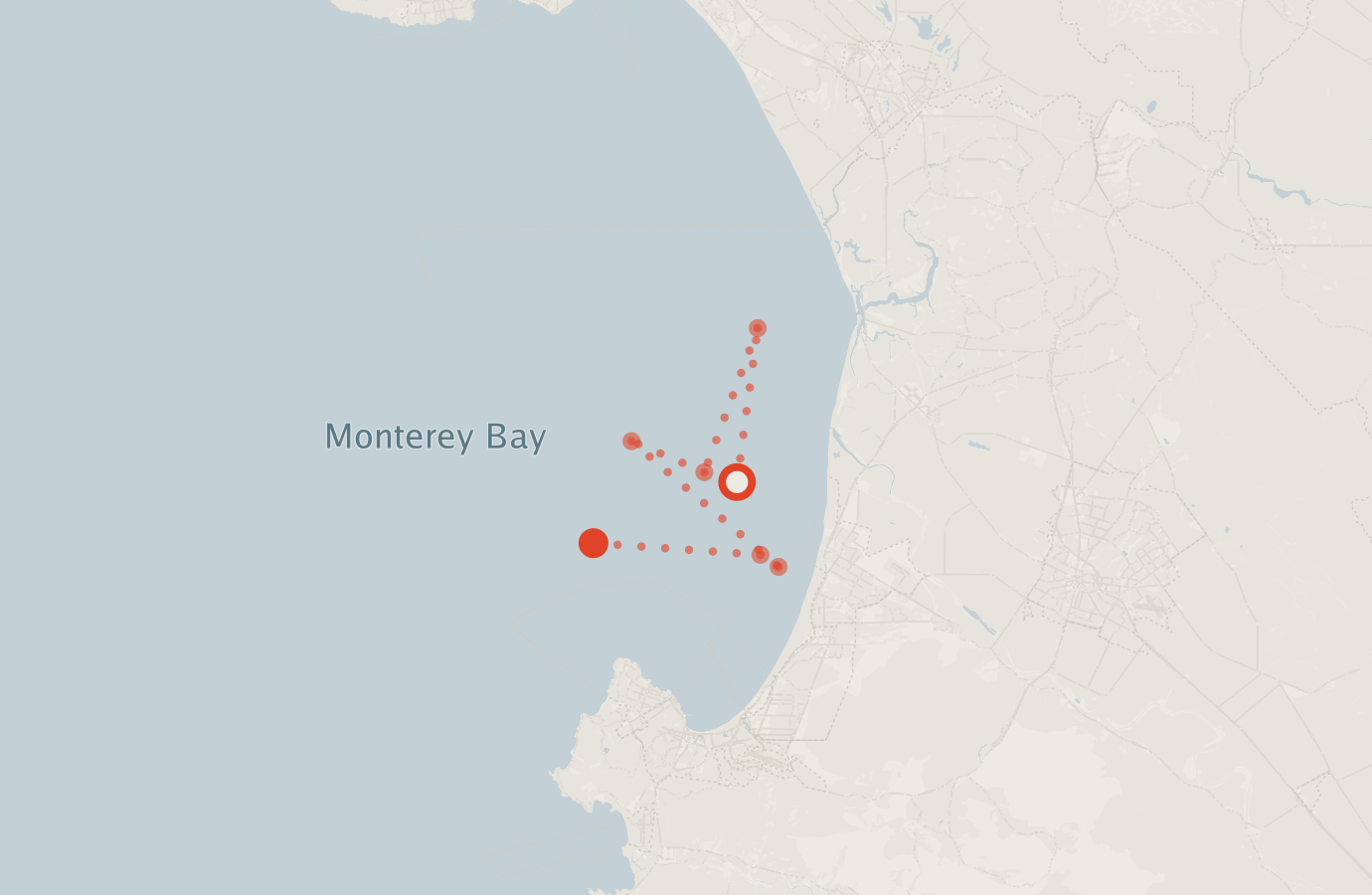 Activity map — real sighting points on an OpenStreetMap basemap