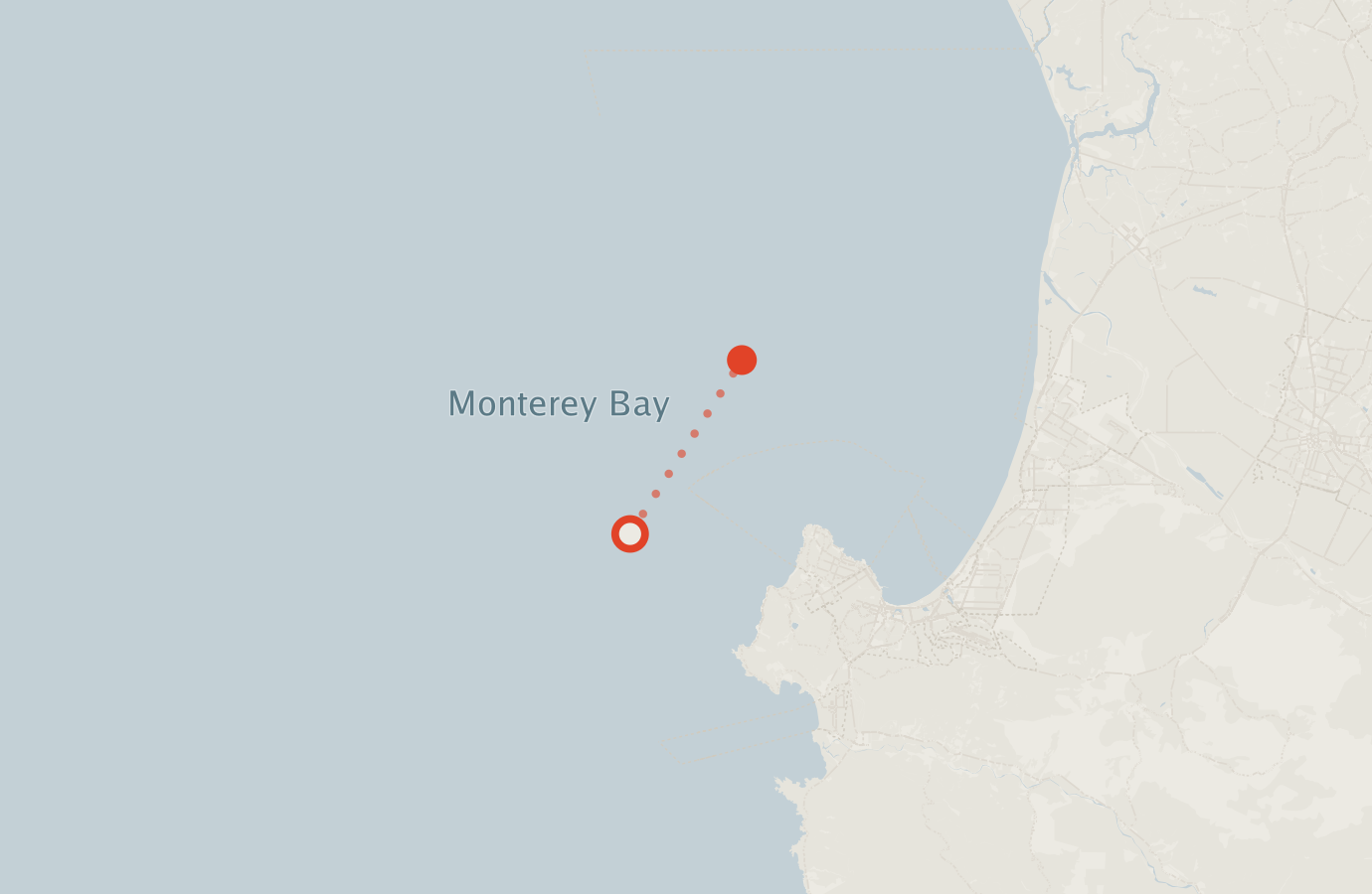 Activity map — real sighting points on an OpenStreetMap basemap
