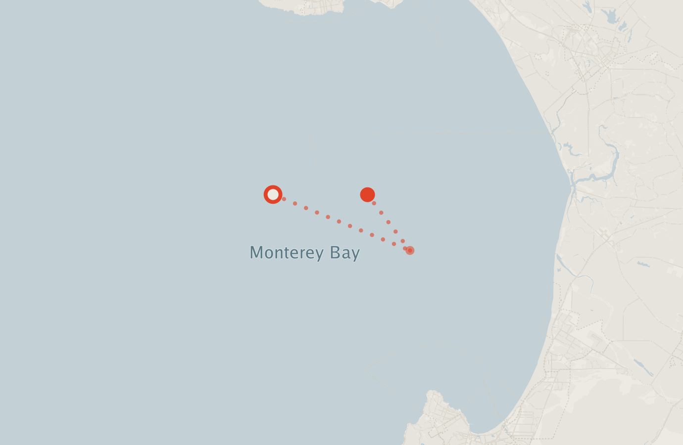 Activity map — real sighting points on an OpenStreetMap basemap
