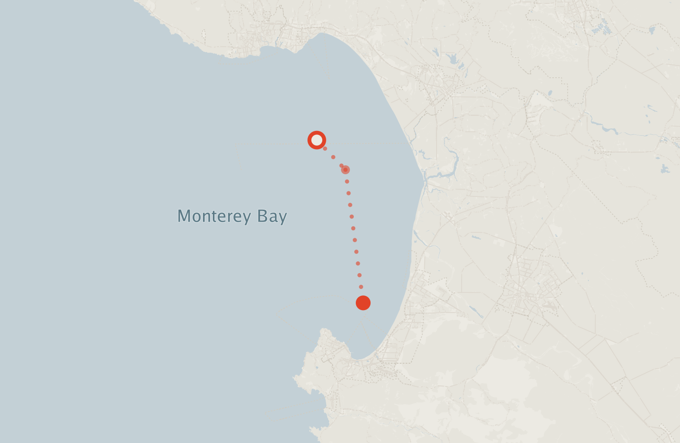Activity map — real sighting points on an OpenStreetMap basemap