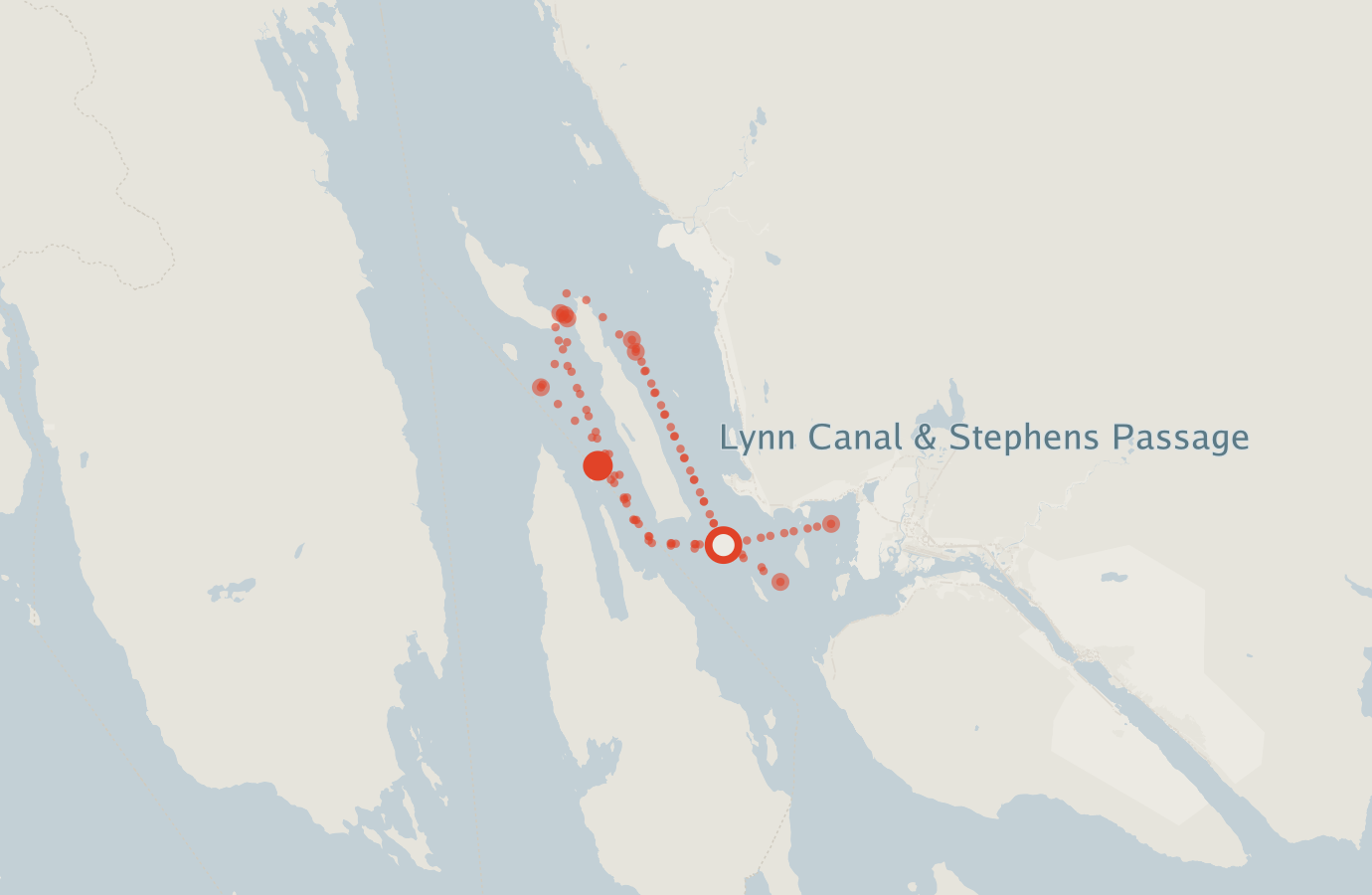 Activity map — real sighting points on an OpenStreetMap basemap