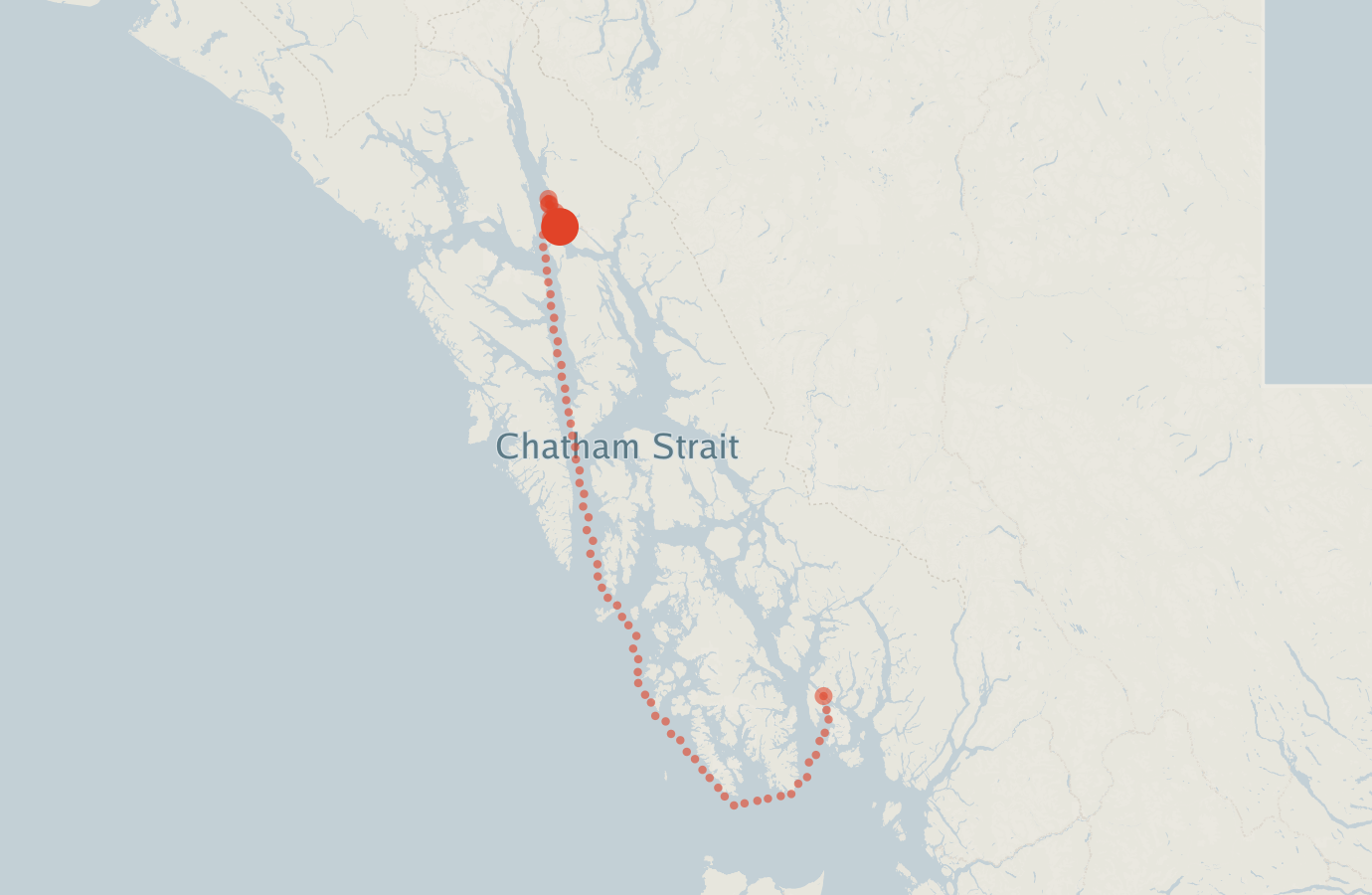 Activity map — real sighting points on an OpenStreetMap basemap