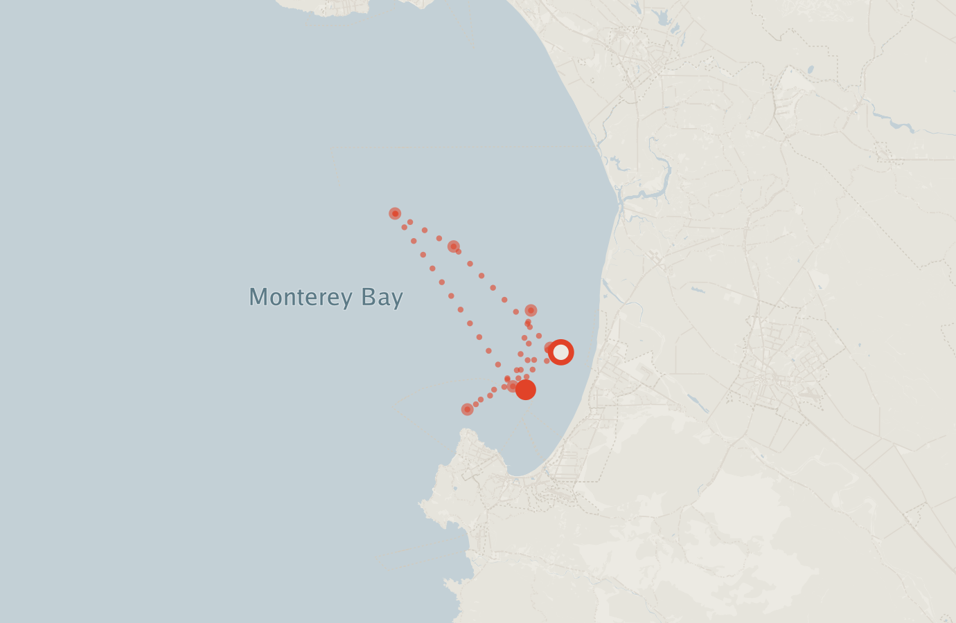 Activity map — real sighting points on an OpenStreetMap basemap