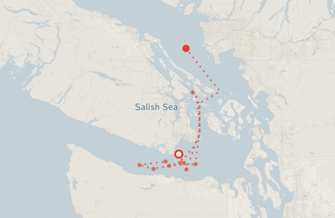 Activity map — real sighting points on an OpenStreetMap basemap