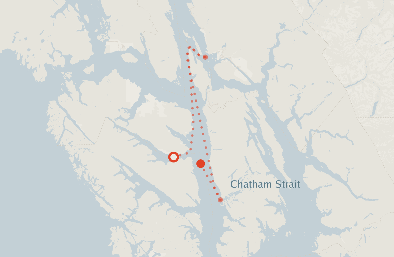 Activity map — real sighting points on an OpenStreetMap basemap