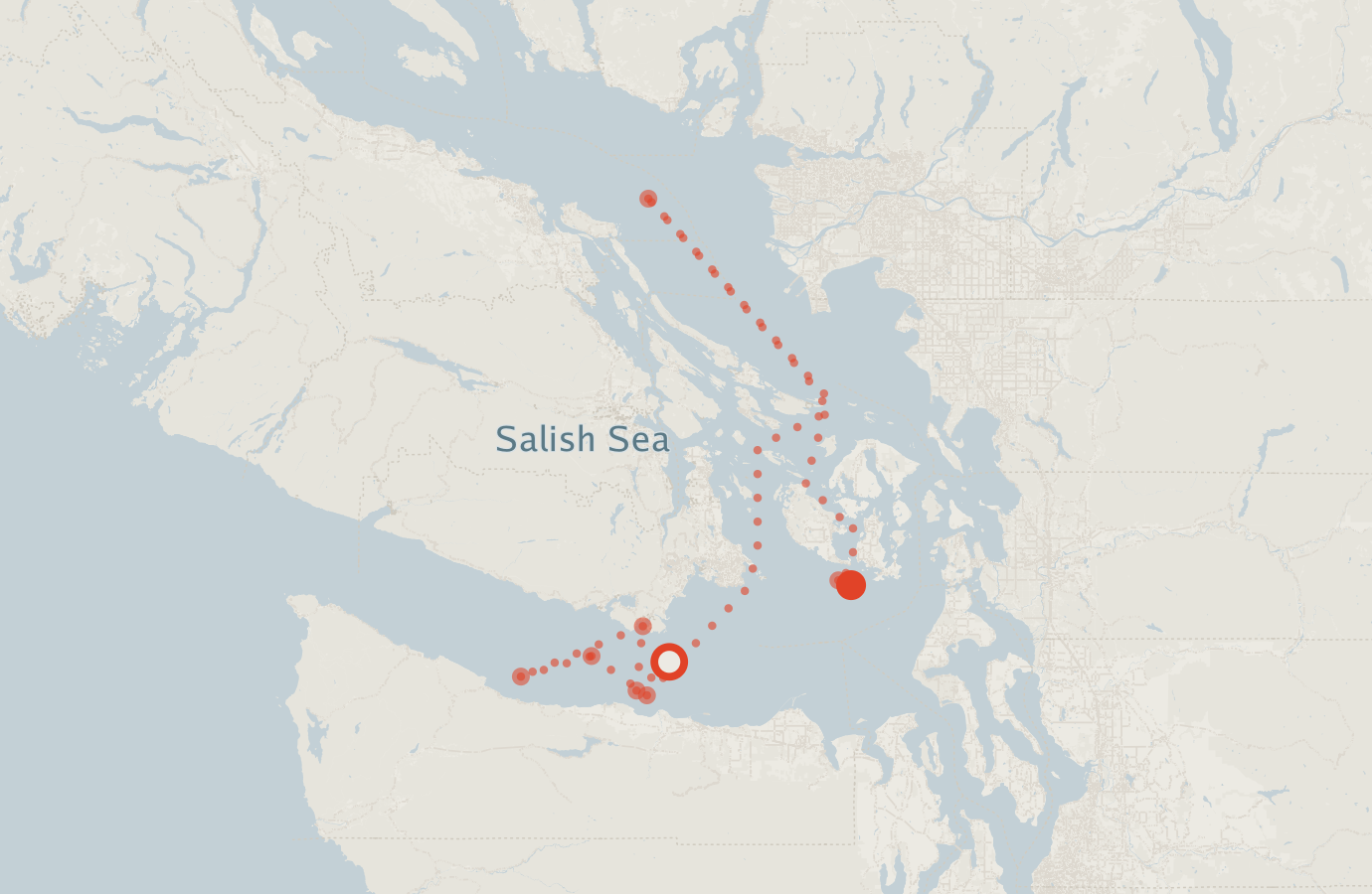 Activity map — real sighting points on an OpenStreetMap basemap