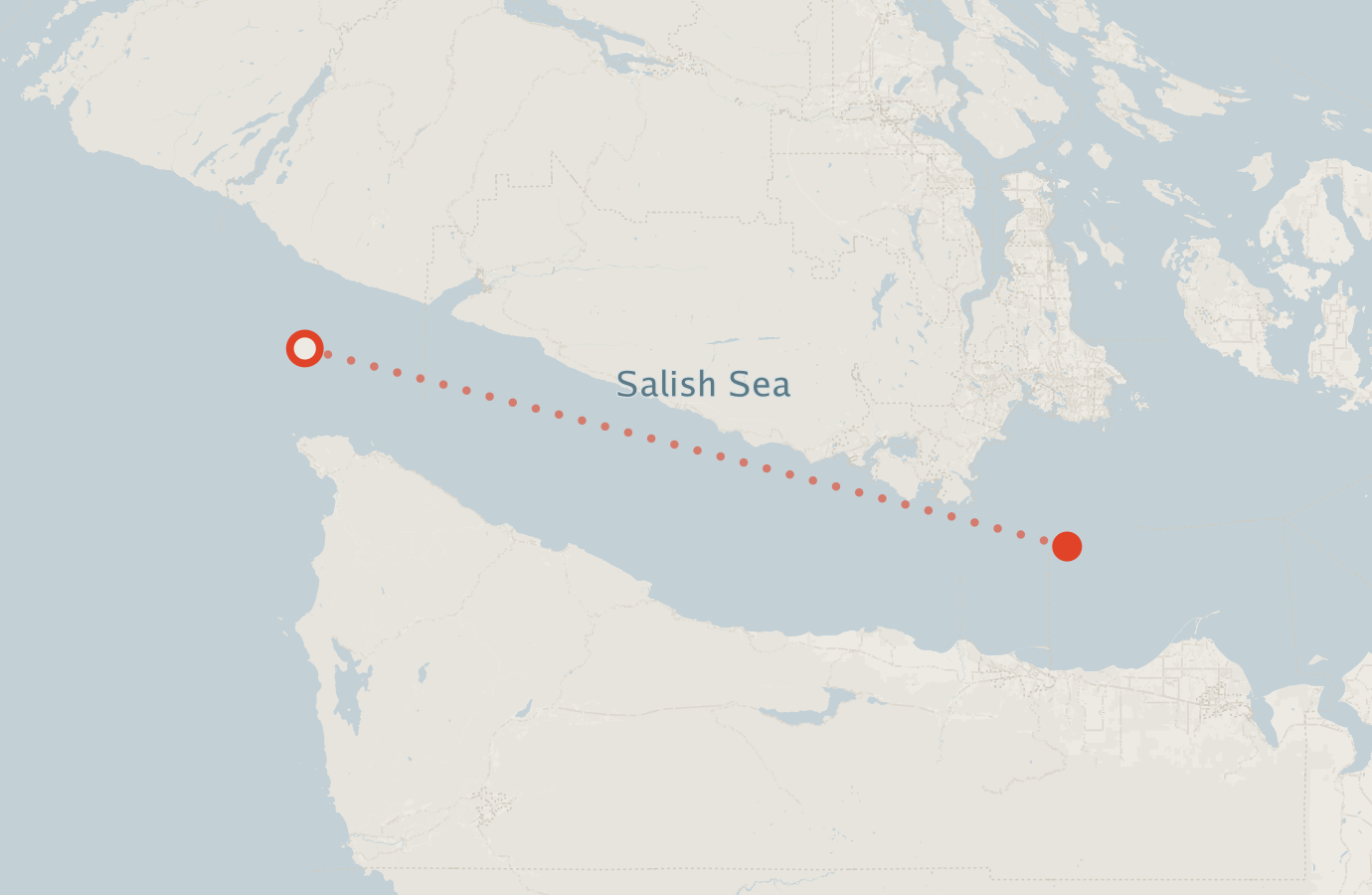 Activity map — real sighting points on an OpenStreetMap basemap