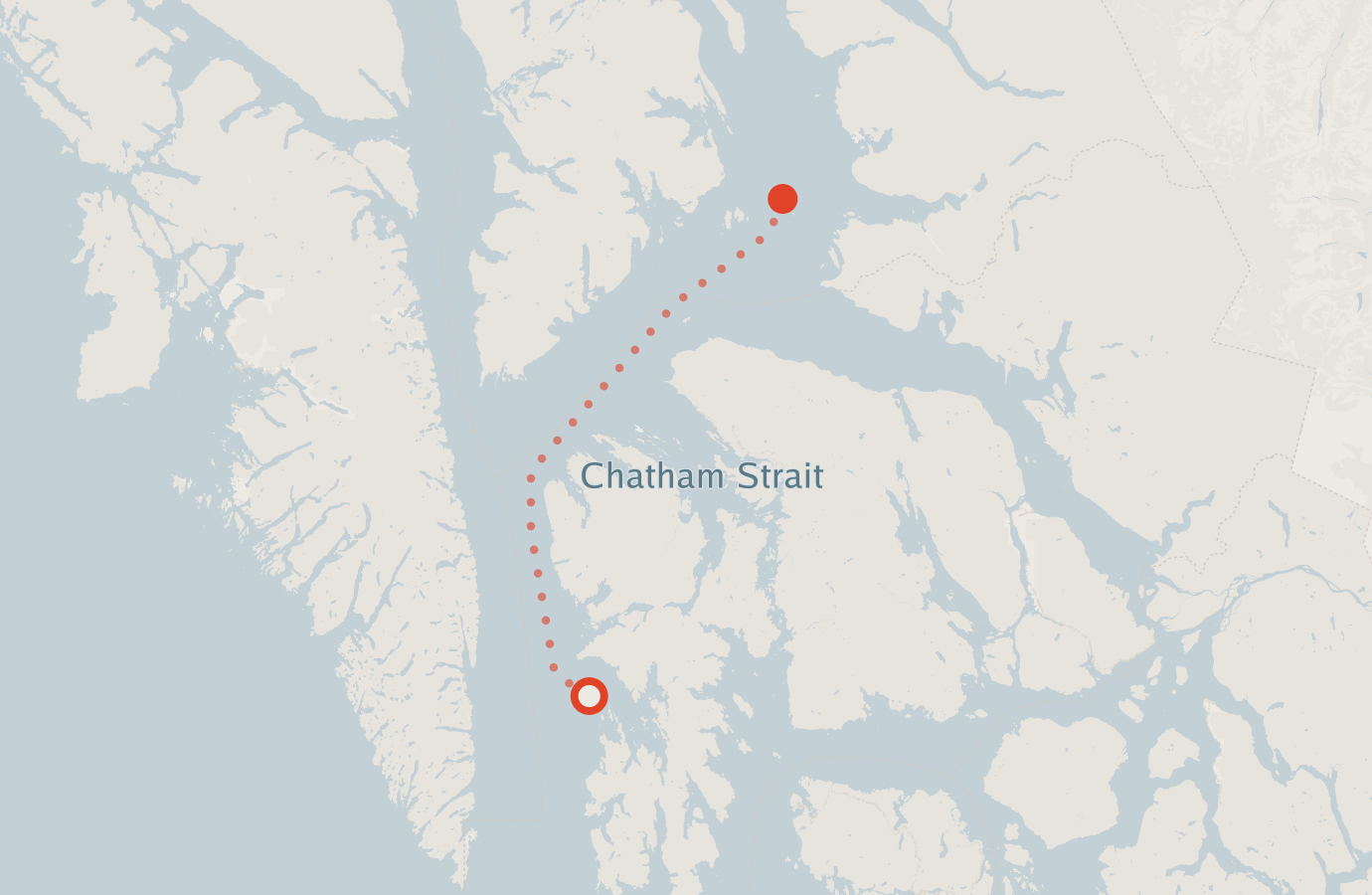 Activity map — real sighting points on an OpenStreetMap basemap