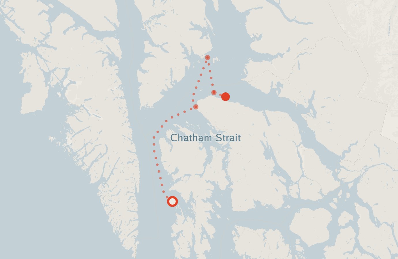 Activity map — real sighting points on an OpenStreetMap basemap