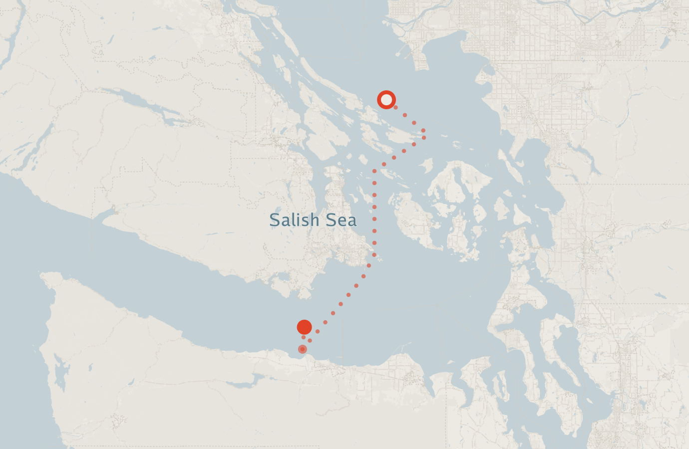 Activity map — real sighting points on an OpenStreetMap basemap