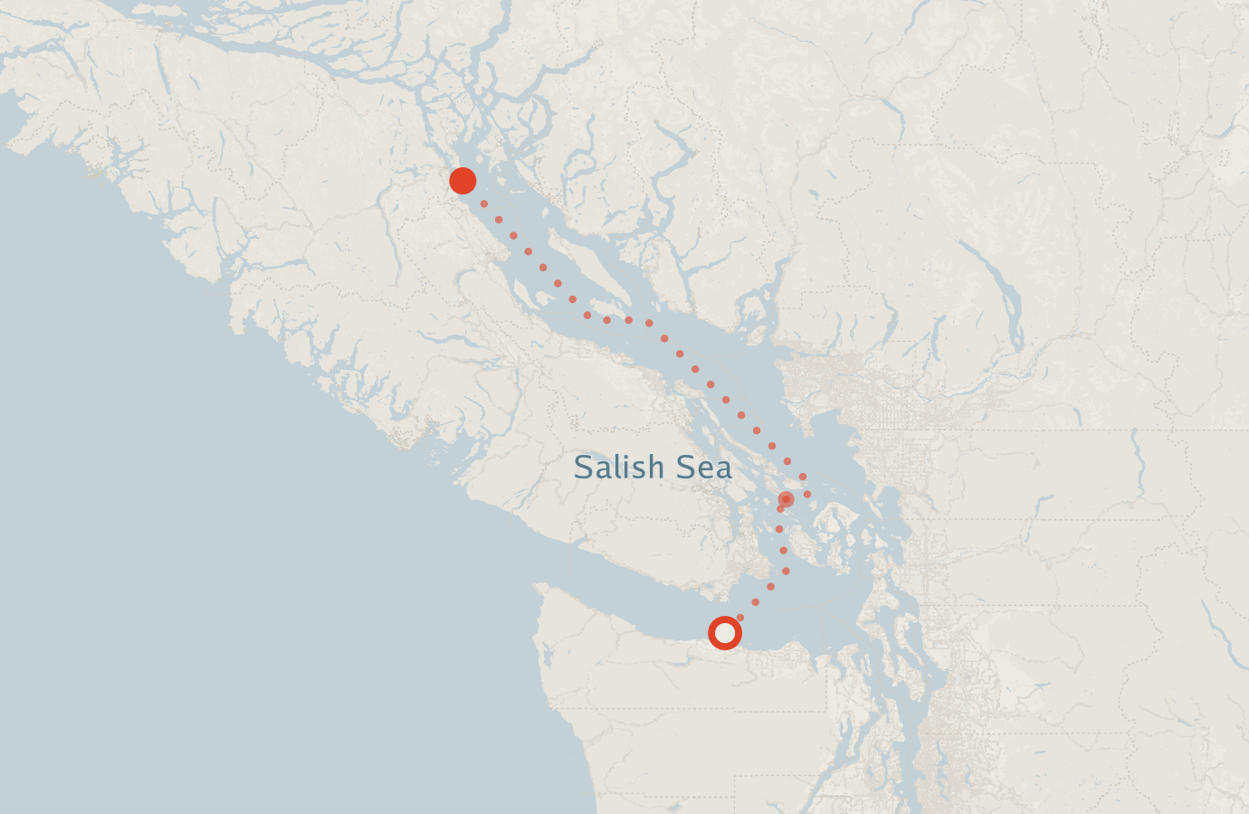 Activity map — real sighting points on an OpenStreetMap basemap