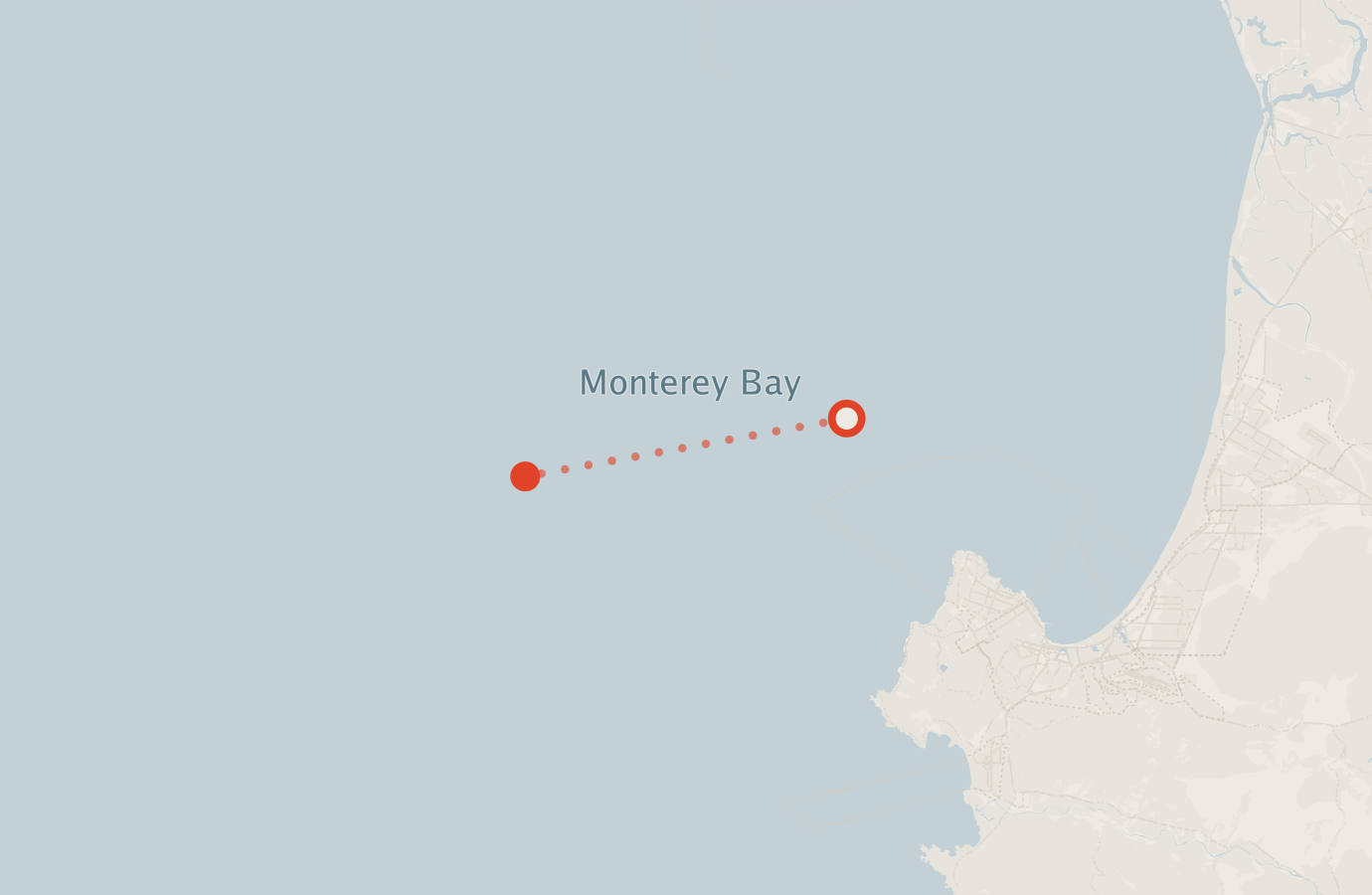 Activity map — real sighting points on an OpenStreetMap basemap