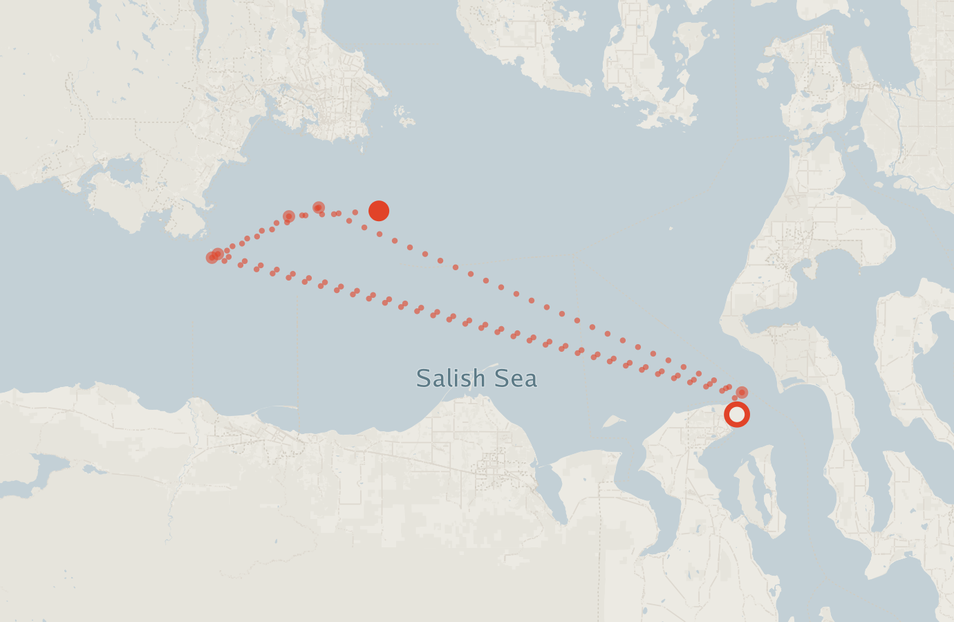 Activity map — real sighting points on an OpenStreetMap basemap