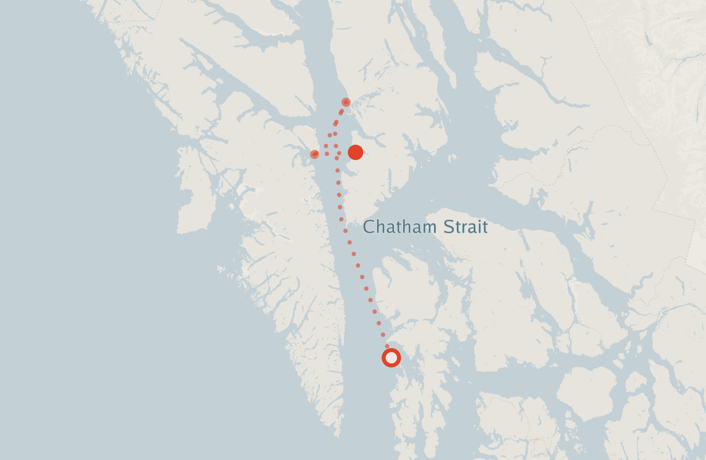 Activity map — real sighting points on an OpenStreetMap basemap