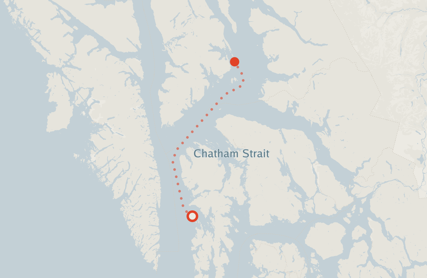 Activity map — real sighting points on an OpenStreetMap basemap