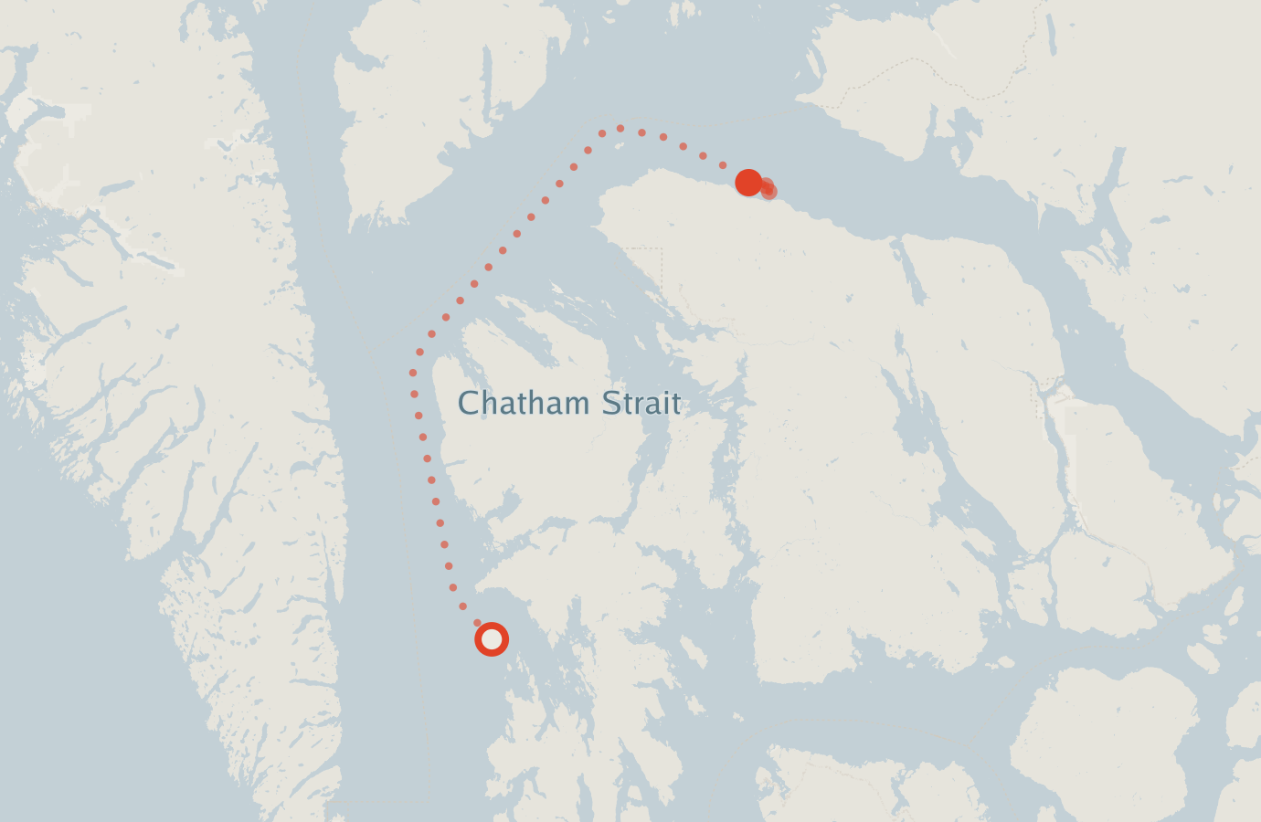 Activity map — real sighting points on an OpenStreetMap basemap