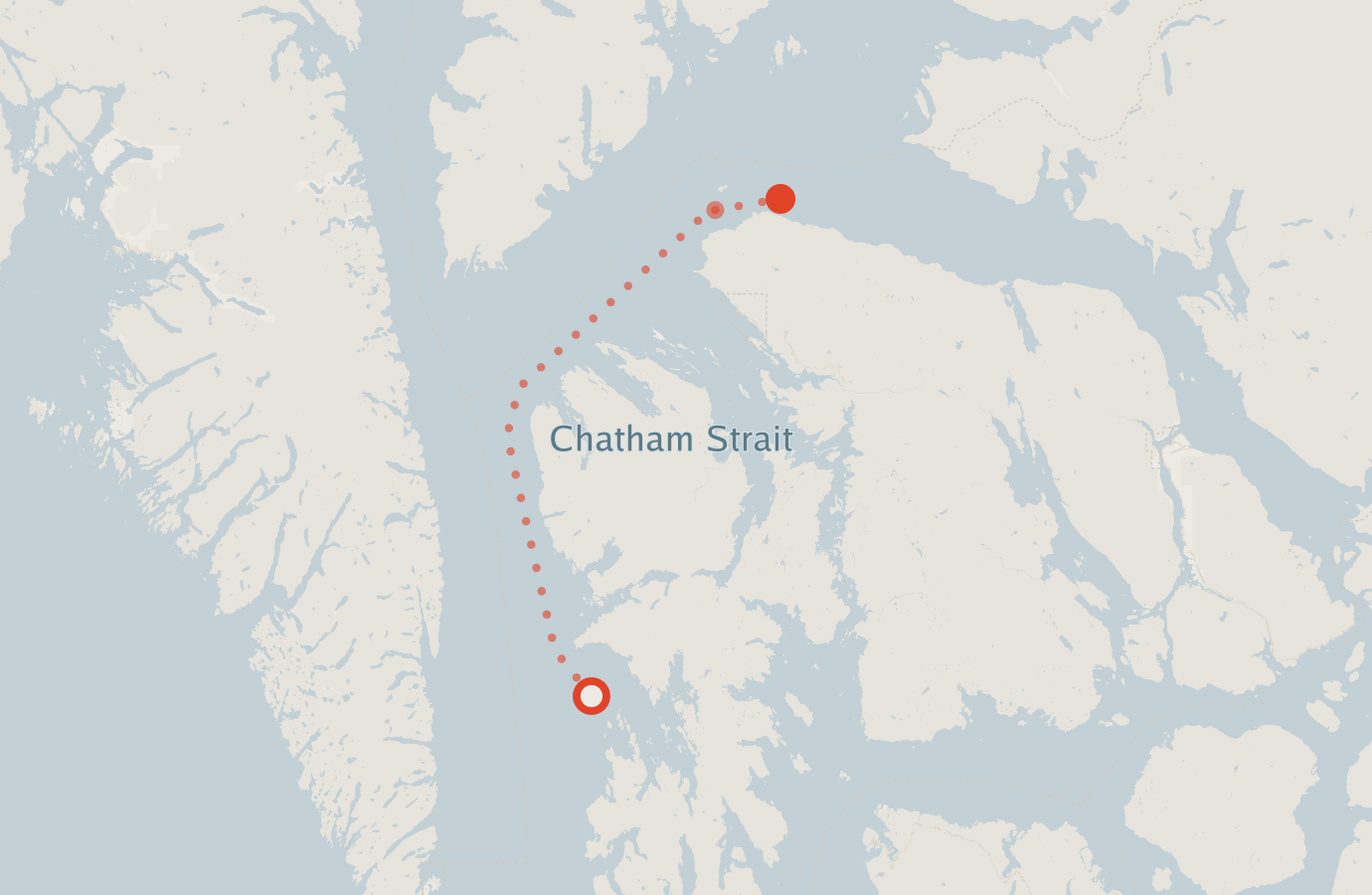 Activity map — real sighting points on an OpenStreetMap basemap