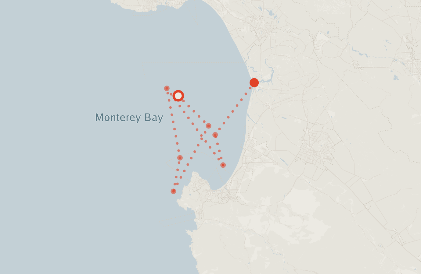 Activity map — real sighting points on an OpenStreetMap basemap