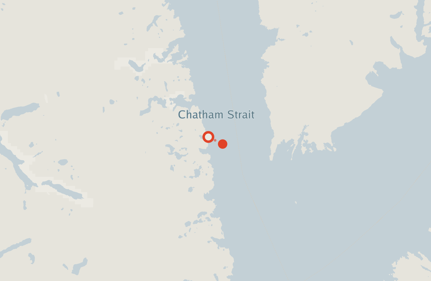 Activity map — real sighting points on an OpenStreetMap basemap