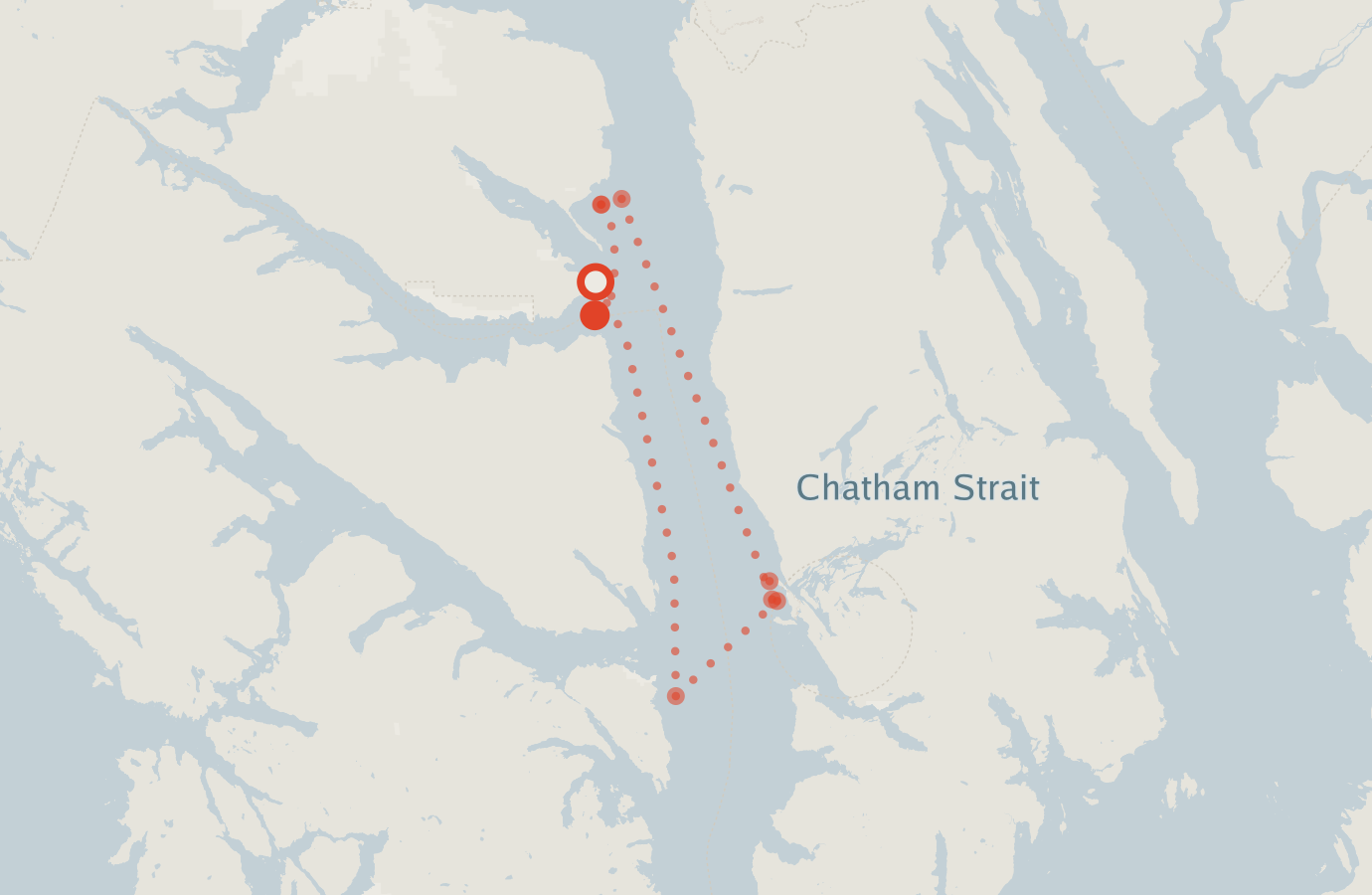 Activity map — real sighting points on an OpenStreetMap basemap