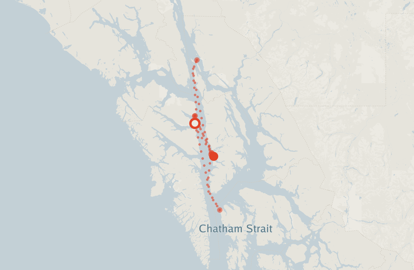 Activity map — real sighting points on an OpenStreetMap basemap