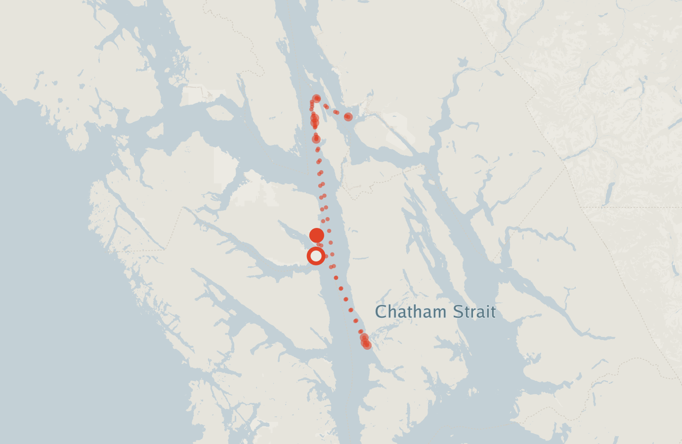 Activity map — real sighting points on an OpenStreetMap basemap