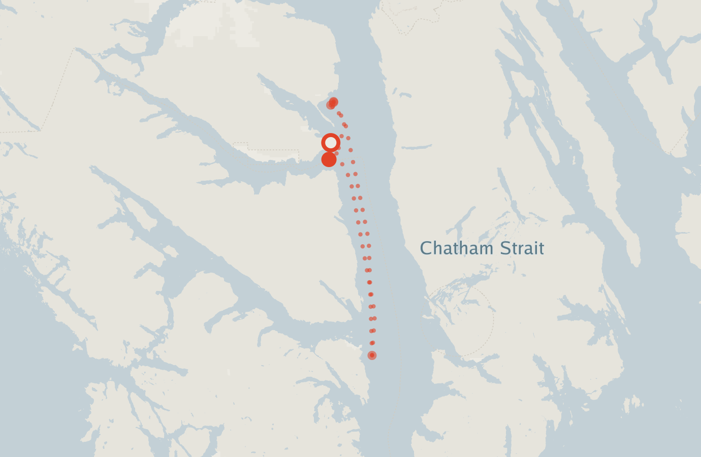 Activity map — real sighting points on an OpenStreetMap basemap