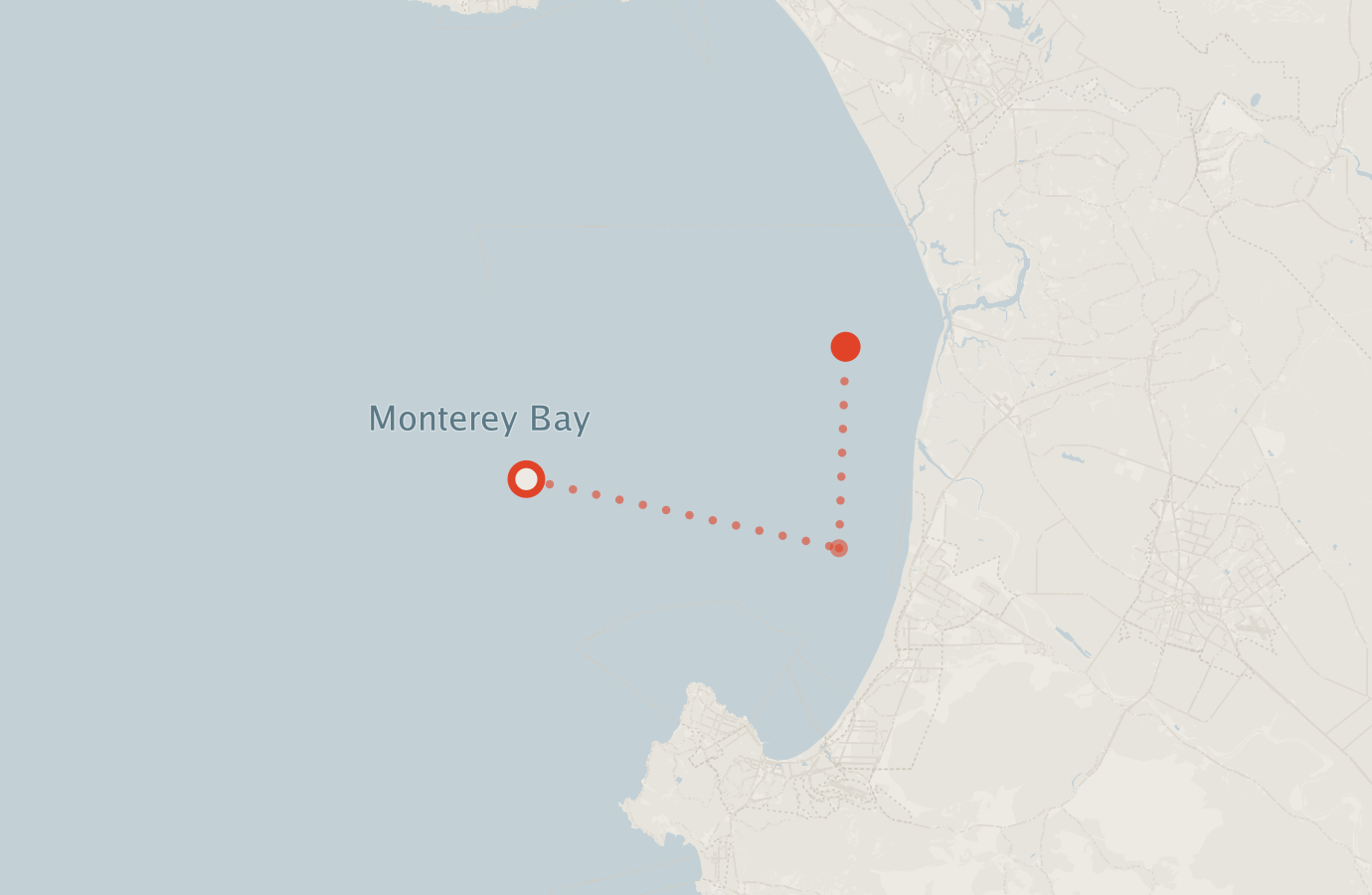 Activity map — real sighting points on an OpenStreetMap basemap