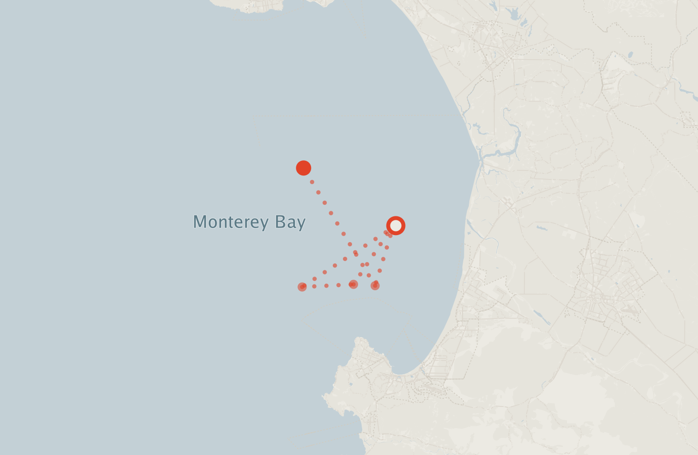 Activity map — real sighting points on an OpenStreetMap basemap
