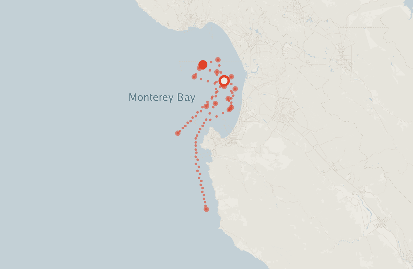 Activity map — real sighting points on an OpenStreetMap basemap