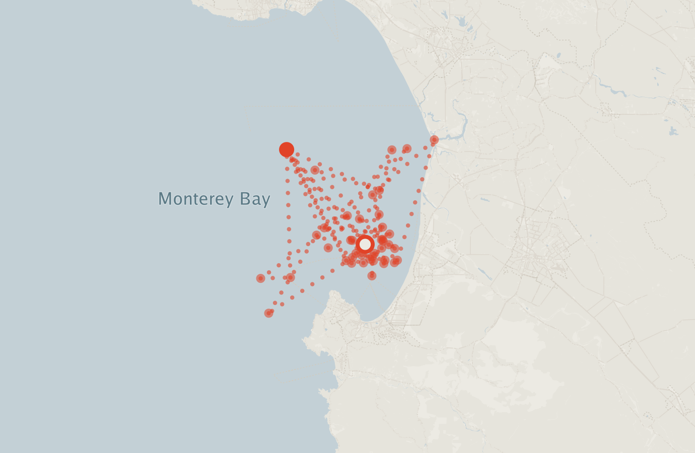 Activity map — real sighting points on an OpenStreetMap basemap