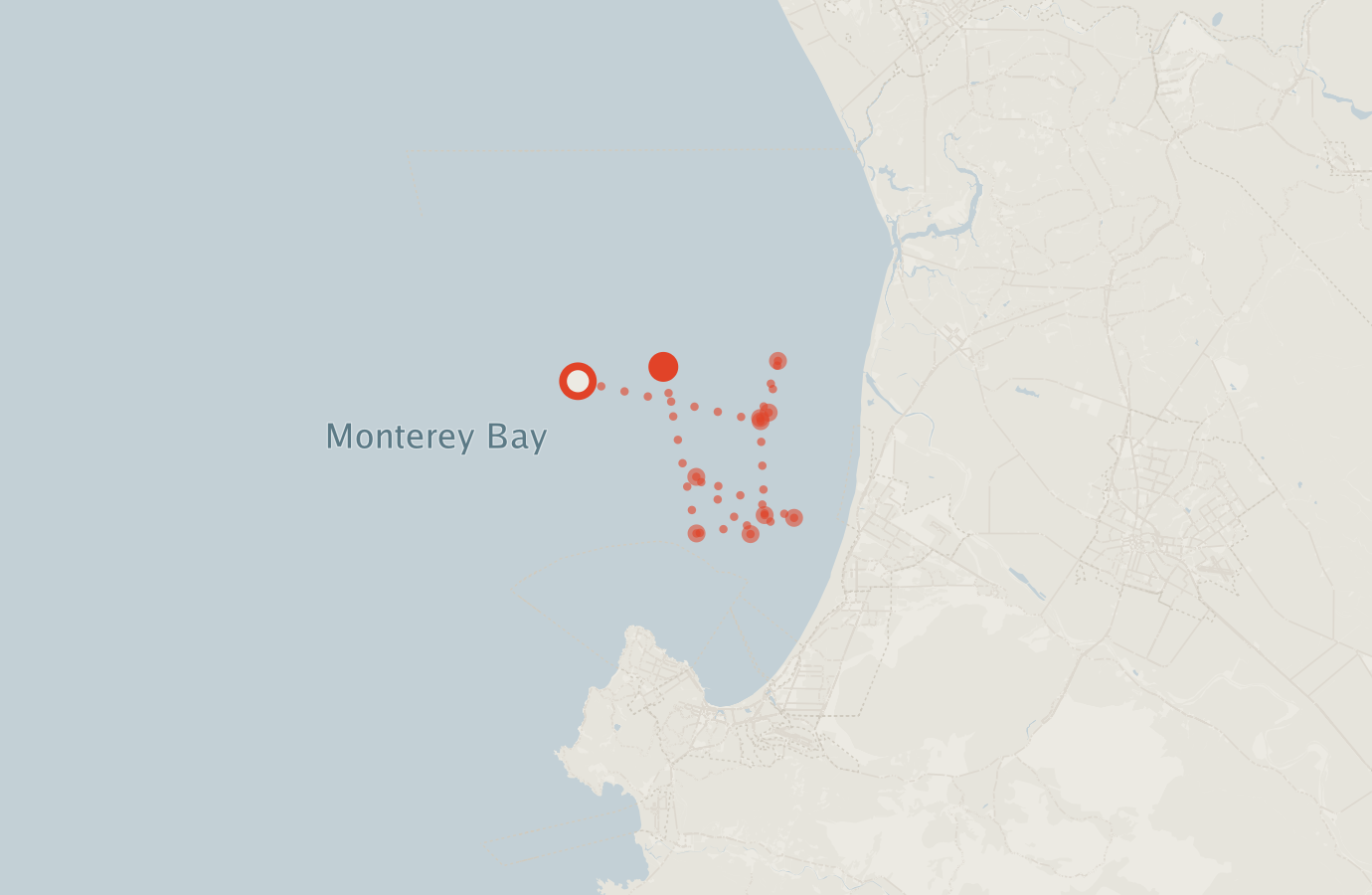 Activity map — real sighting points on an OpenStreetMap basemap