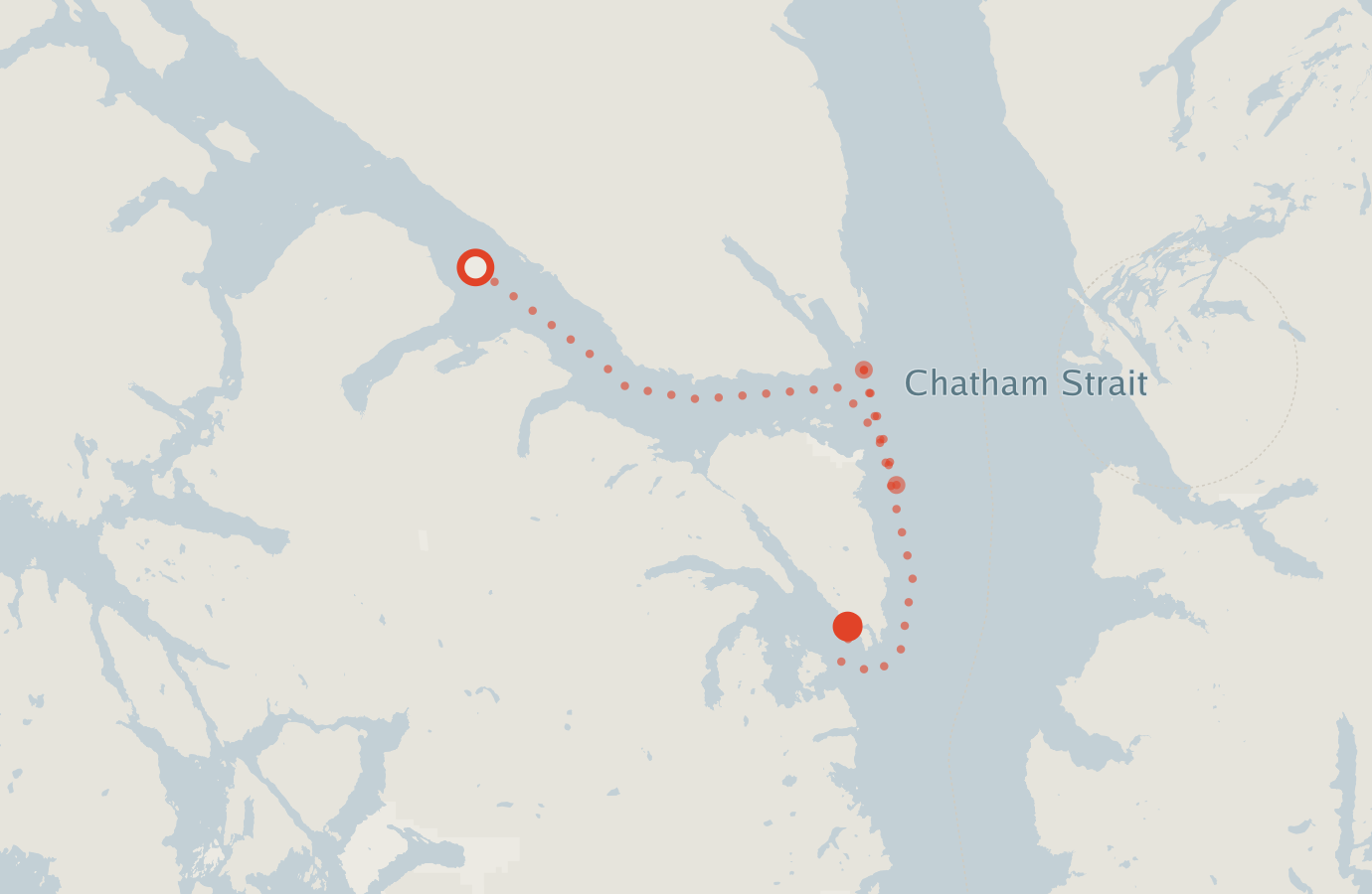 Activity map — real sighting points on an OpenStreetMap basemap